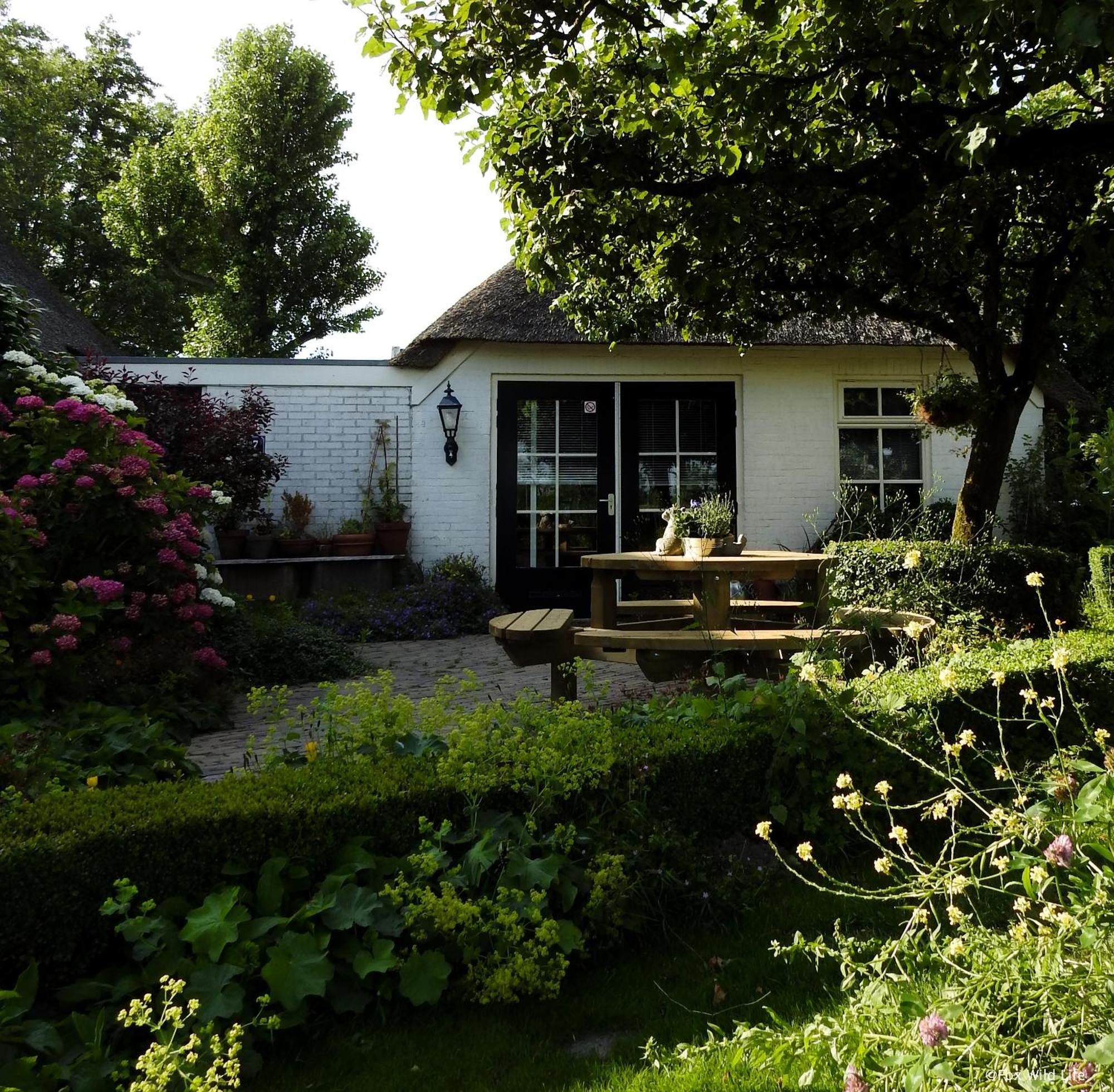 The Wee White Hoose Acomodação com café da manhã Oosternijkerk Exterior foto